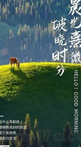 2017年伦理热伦理在线-2017年伦理热潮，在线平台与道德边界的碰撞